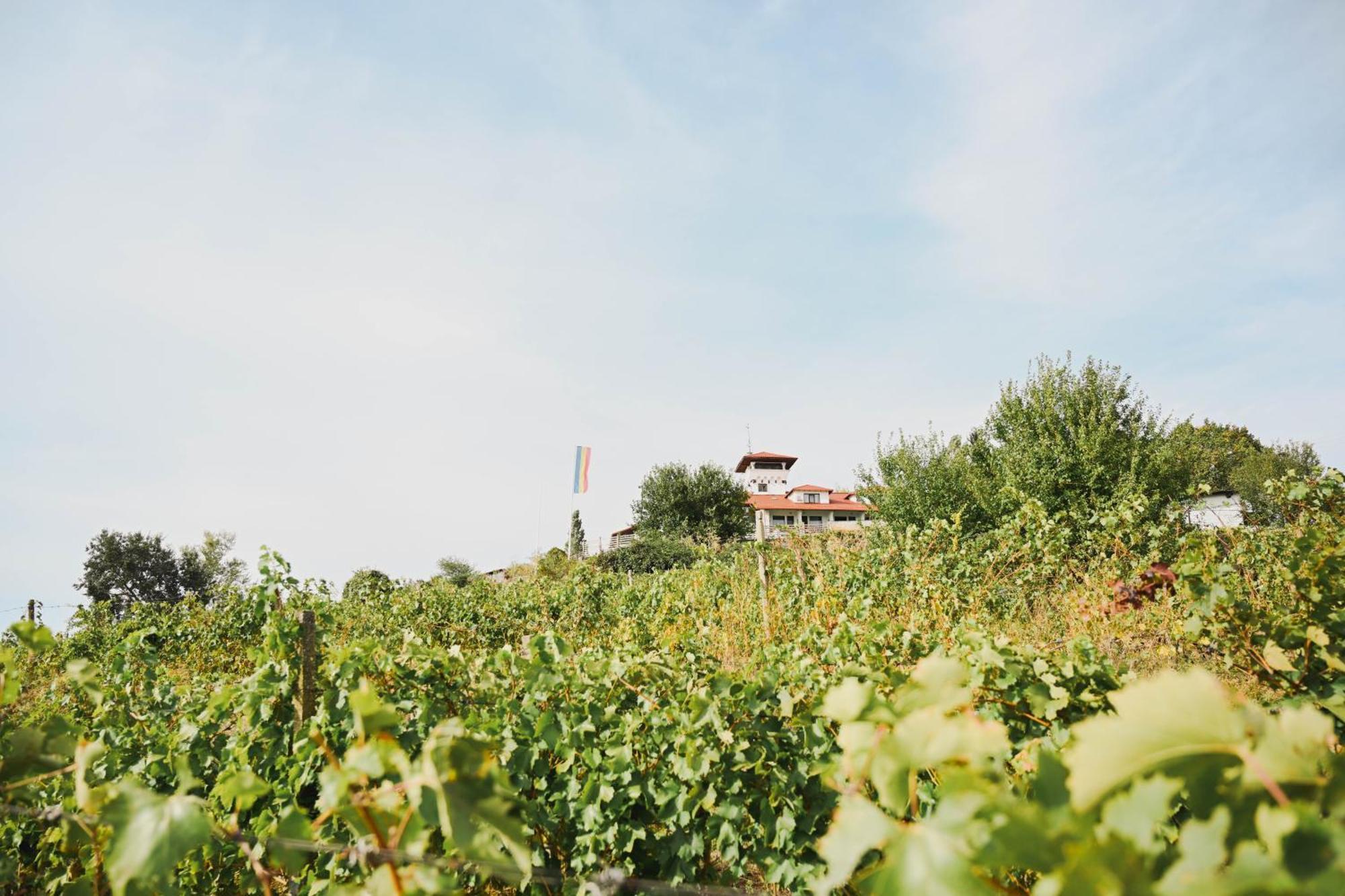 Casa Seciu * Boldesti-Scaeni